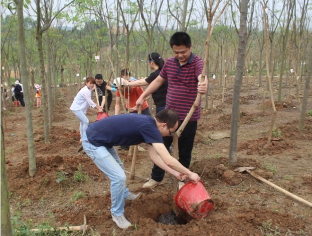qy千亿-千亿(国际)唯一官方网站