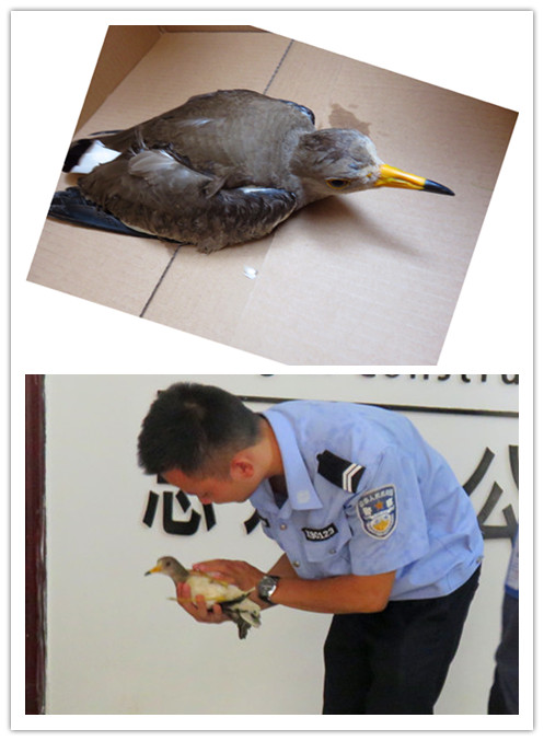 qy千亿-千亿(国际)唯一官方网站