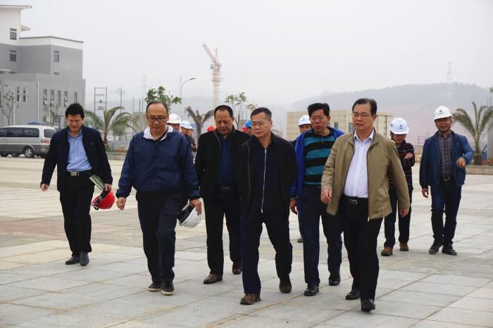 5.吴锡熹一行在项目完工区举行实地观察。。。。。谢微旋 摄700.jpg