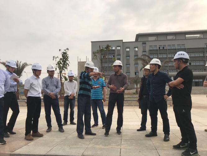 7.1陈祖训深入项目现场。。。。。。。。杨钰 摄700.jpg