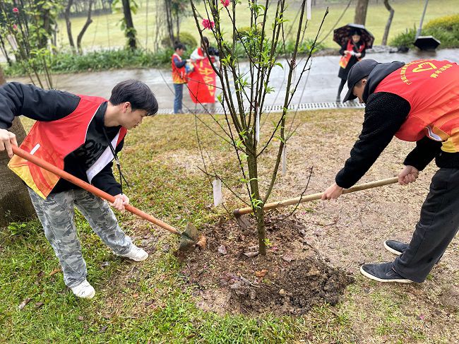 为树苗松土固基。。。。。周煜川 摄（修图）.jpg